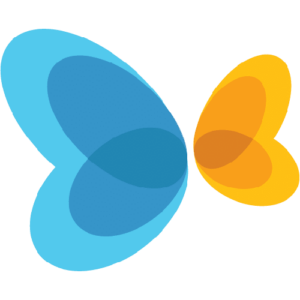 Air Options Ltd