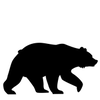 Black Bear Burger