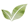 Growth Hypnosis Hypnotherapy & EMDR Chiswick