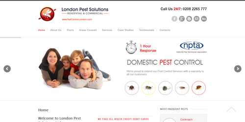 London Pest Solutions