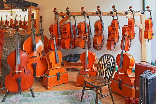 Pro Arte Stringed Instruments