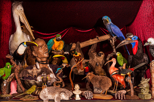 The British Academy of Taxidermy